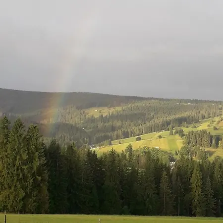Witowianskie Domki Z Kominkiem, Jacuzzi I Sauna Dzianisz Exterior foto