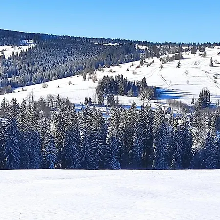Witowianskie Domki Z Kominkiem, Jacuzzi I Sauna Dzianisz Exterior foto