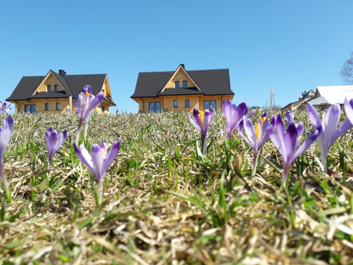 Witowianskie Z Kominkiem, Jacuzzi I Sauna Chalet