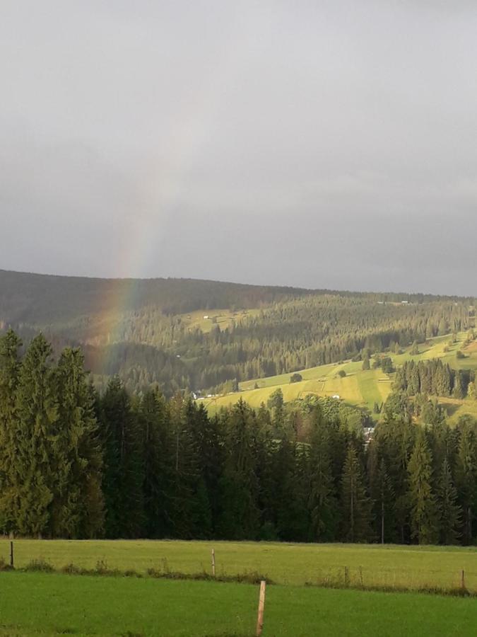 Witowianskie Z Kominkiem, Jacuzzi I Sauna Dzianisz