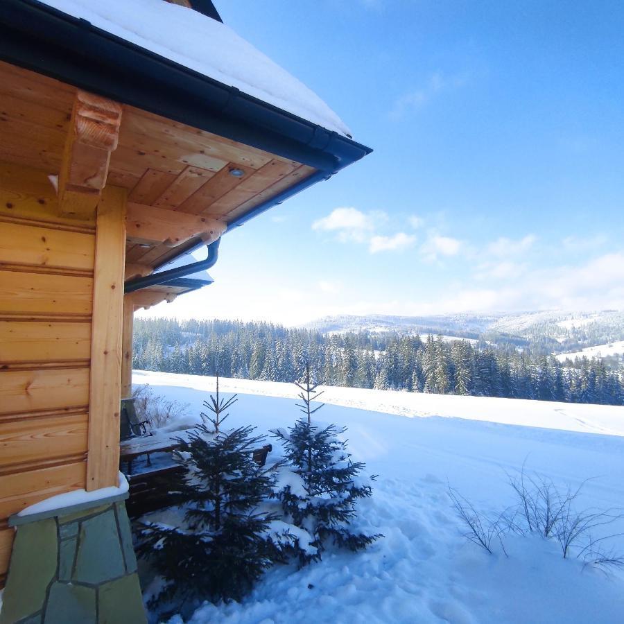 Witowianskie Z Prywatnym Jacuzzi I Klimatyzacja Chalet
